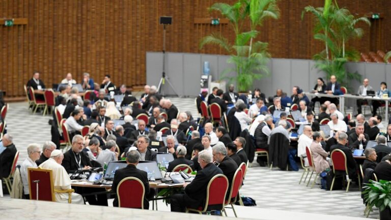 Synod elects new members to Ordinary Council