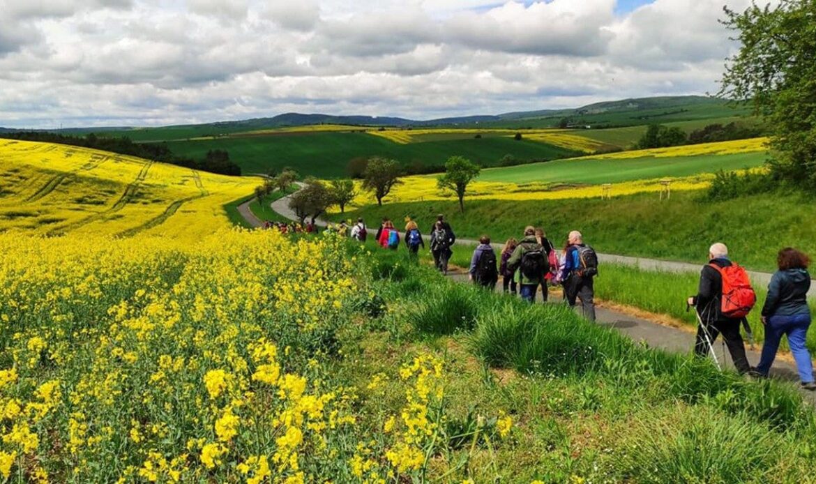 Romea Strata: A new tradition of spiritual hospitality to pilgrims of hope